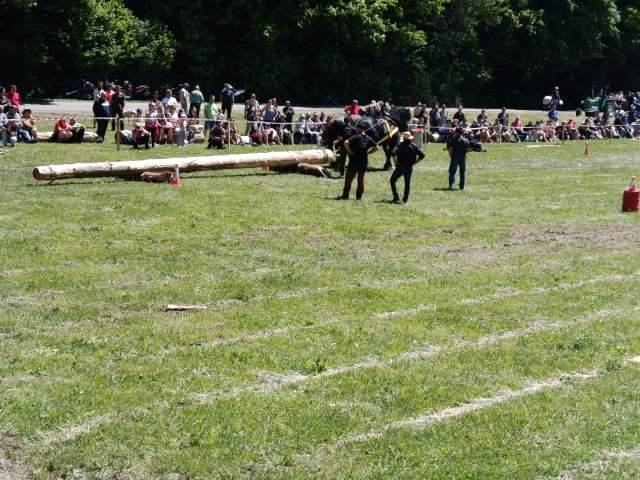 IMG_20260523_125119